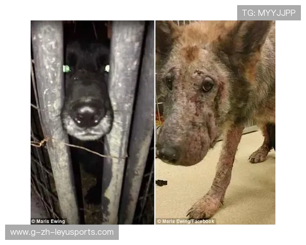 切尔西门前的滚动攻击最终换来结果 切尔西门前的滚动攻击最终换来结果