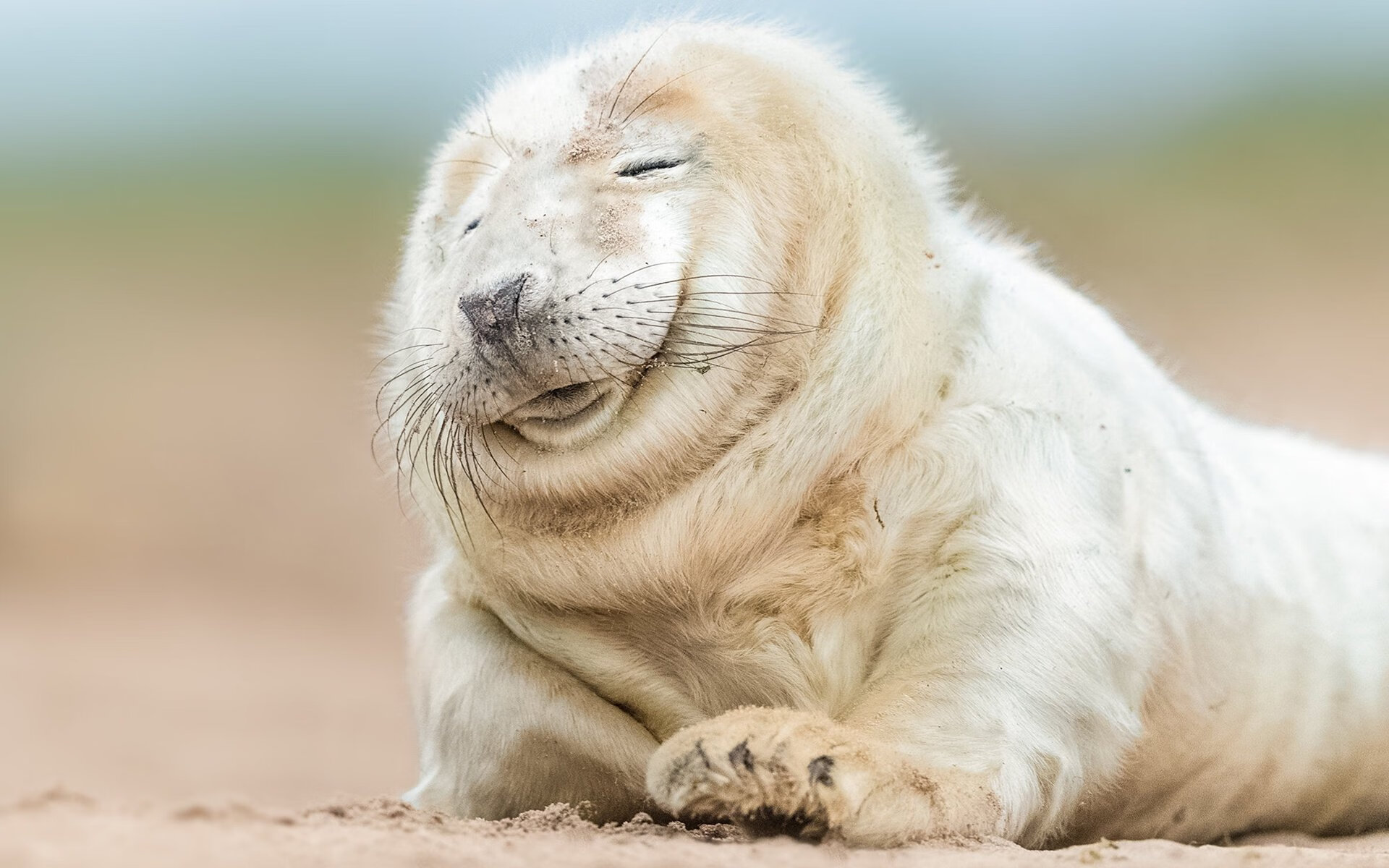 中国足球高强度比赛节奏对技术失误率的影响，足球比赛节奏名词解释